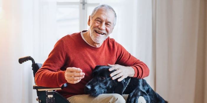 An older man in a wheelchair smiles into the camera while a black labrador rests its head in his lap