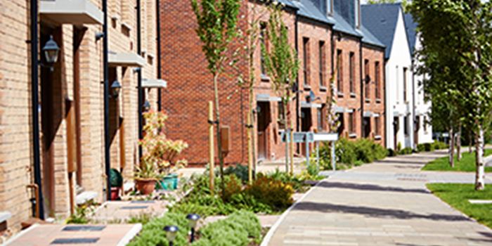 Row of homes