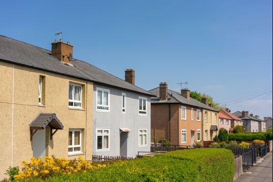 Semi-detached houses line a leafy street