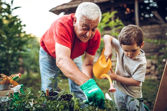 Grandparent and grandchild in the garden