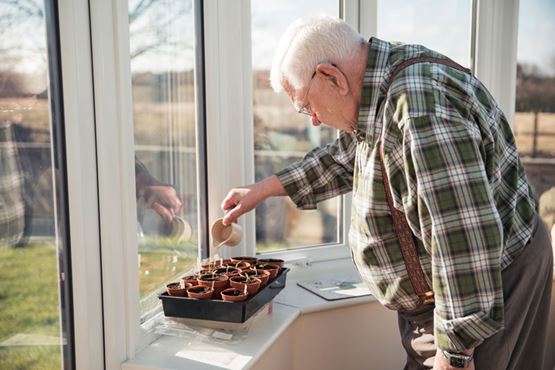 Older man watering plants