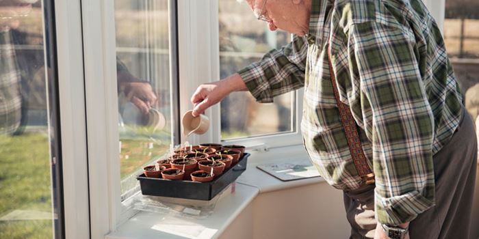Older man watering plants
