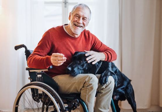 An older man in a wheelchair smiles into the camera while a black labrador rests its head in his lap