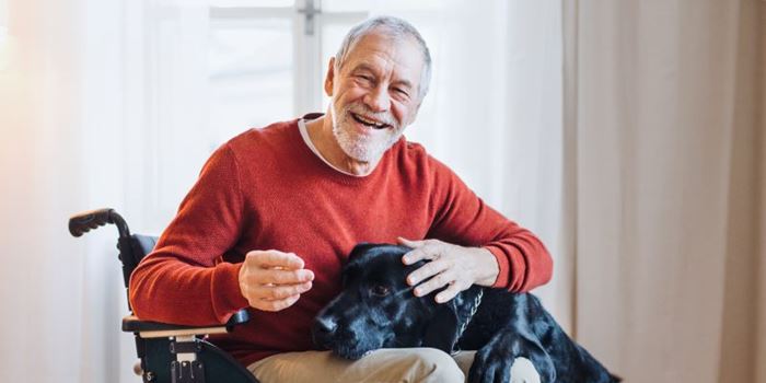 An older man in a wheelchair smiles into the camera while a black labrador rests its head in his lap