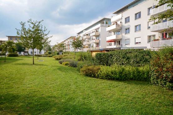 New flats with a green common area and trees