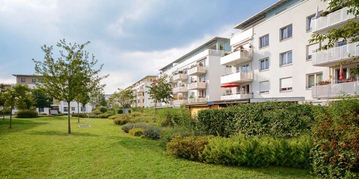 New flats with a green common area and trees