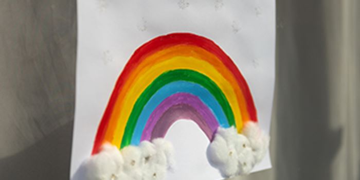 Rainbow picture in window