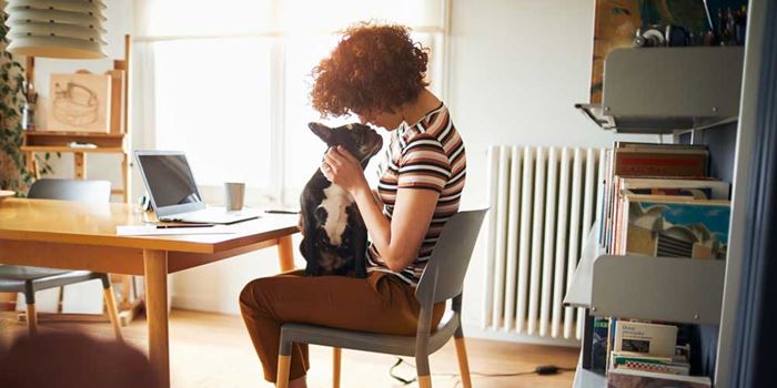 Woman sat at desk with dog on her lap