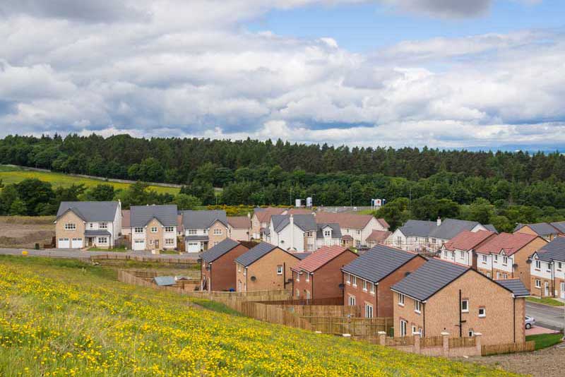 New homes with a field in front and a forest behind