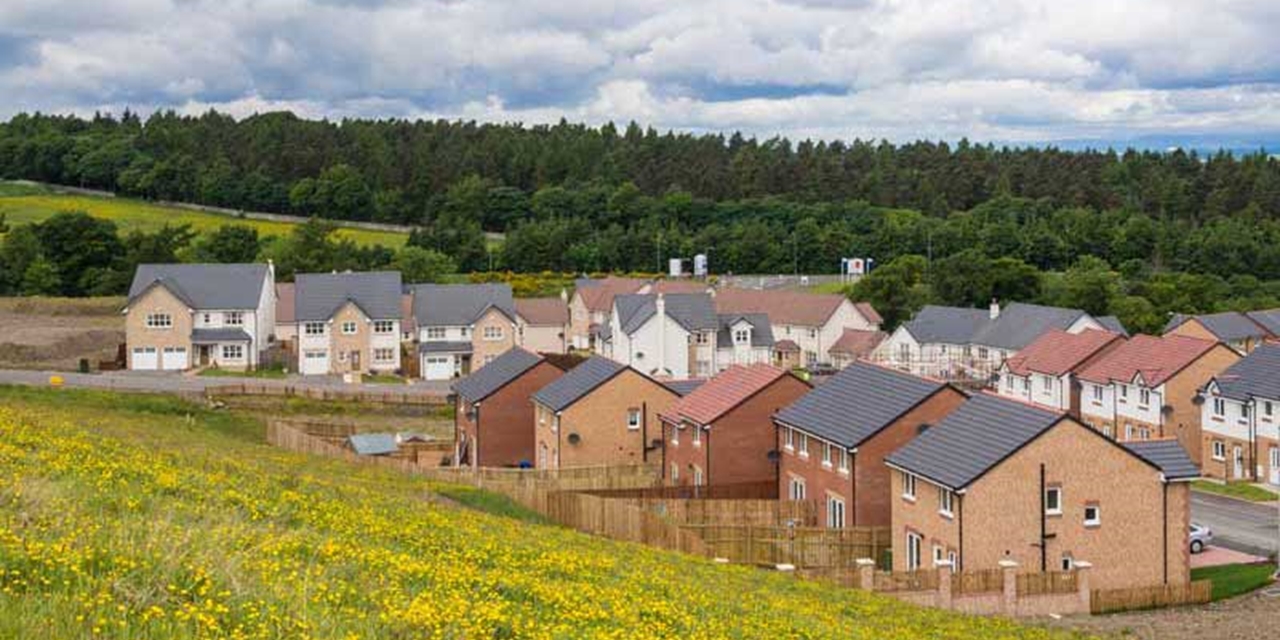 New homes with a field in front and a forest behind