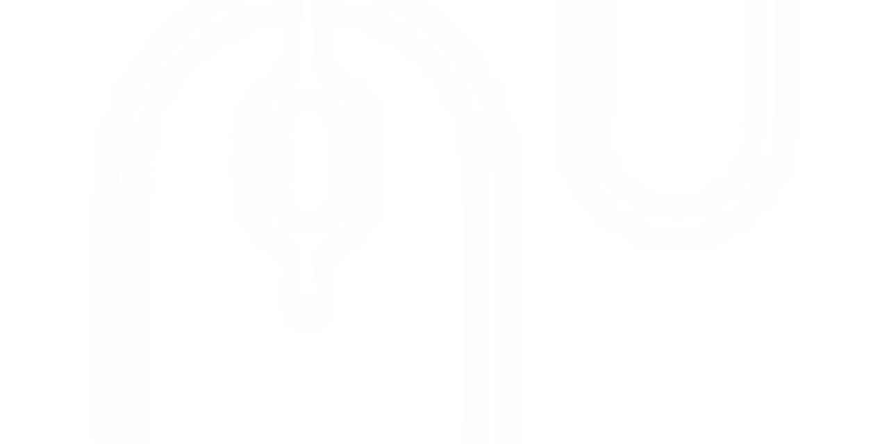 Drawing of a computer mouse