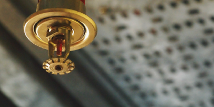 Sprinkler head