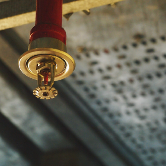 Sprinkler head