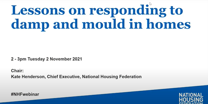 Mould and damp